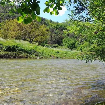 Au Bord De La Riviere *
